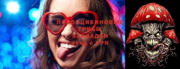 apvp Алзамай