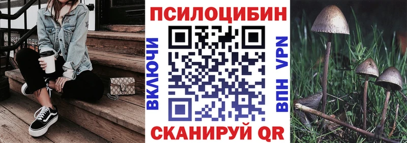 нарко площадка состав Дубовка Галлюциногенные грибы MAGIC MUSHROOMS